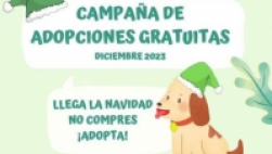 Campaña de adopción de mascotas