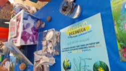 CAMPAÑA DE PROTECCIÓN Y DIVULGACIÓN DE LA BIODIVERSIDAD DEL MEDIO MARINO, POSIDONIA OCEÁNICA en San Javier