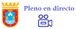 Pleno en directo Pleno en directo