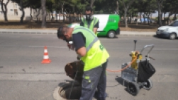 Comienza la Campaña de desinsectación y desratización en la vía pública del municipio de San Javier.
