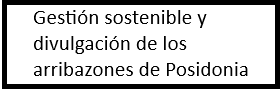 posidonia2025 posidonia2025